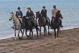 La Galleria Caccia alla Volpe